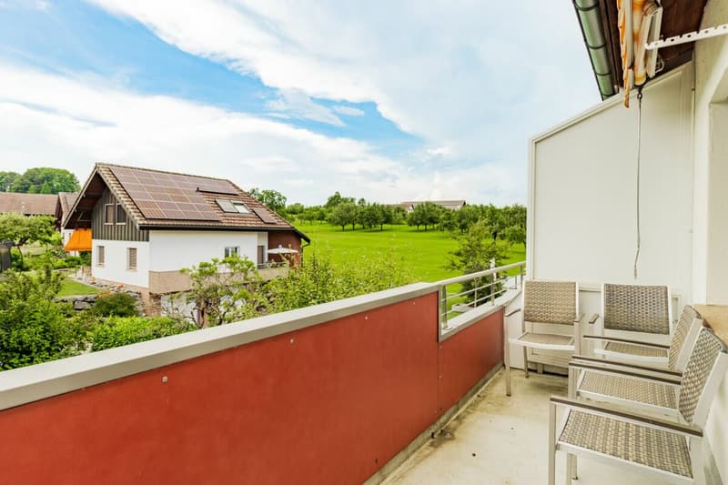Appartamento di 2,5 locali modernizzato con balcone & garage singolo (7)