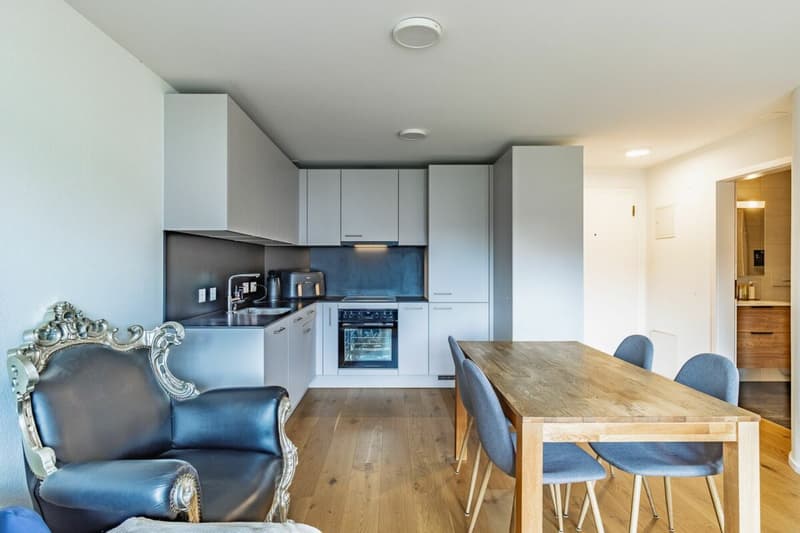 Appartamento di 2,5 locali modernizzato con balcone & garage singolo (2)