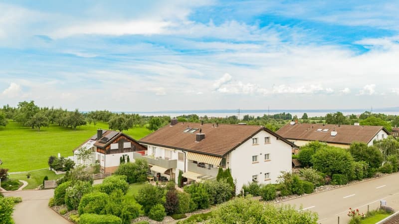 Appartamento di 2,5 locali modernizzato con balcone & garage singolo (8)