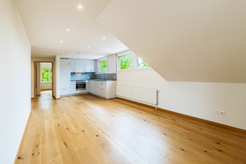 Helle 3.5-Zimmer-Dachwohnung mit offenem Wohnbereich (2)