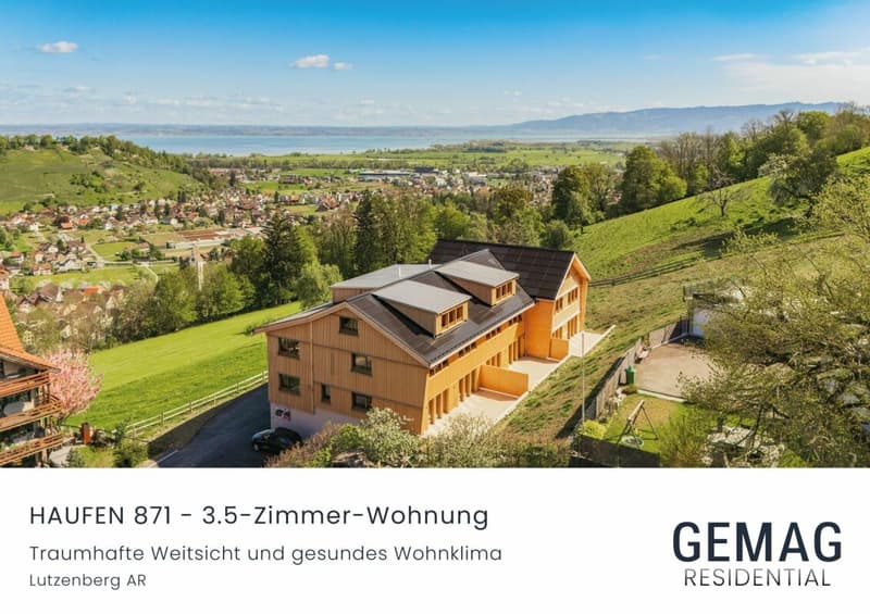 HAUFEN 871 - Appartamento di 3,5 locali al piano terra con vista panoramica (1)