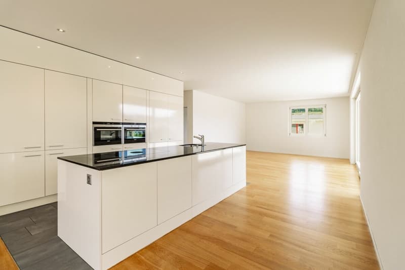 Appartement d'attique moderne dans un quartier résidentiel préféré (5)
