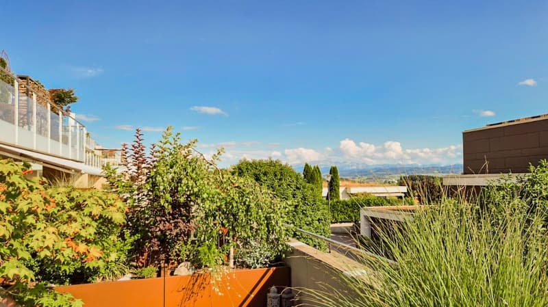Grosszügige 3.5-Zimmer Terrassenwohnung (17)