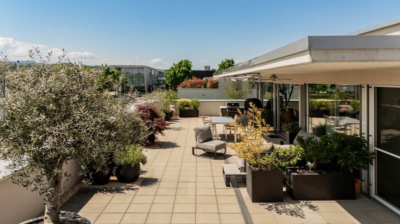 Stilvolle 4.5-Zimmer-Attikawohnung mit Sicht auf den Säntis und viel Privatsphäre (6)