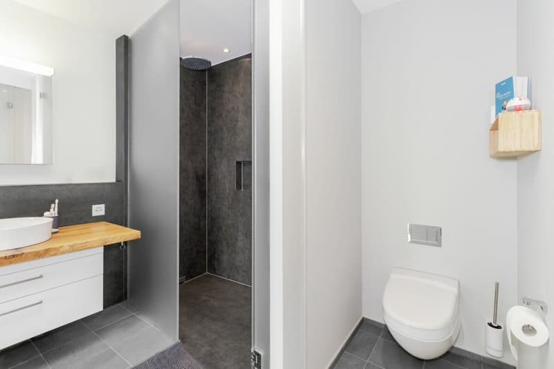 Stilvolle 4.5-Zimmer-Attikawohnung mit Sicht auf den Säntis und viel Privatsphäre (16)