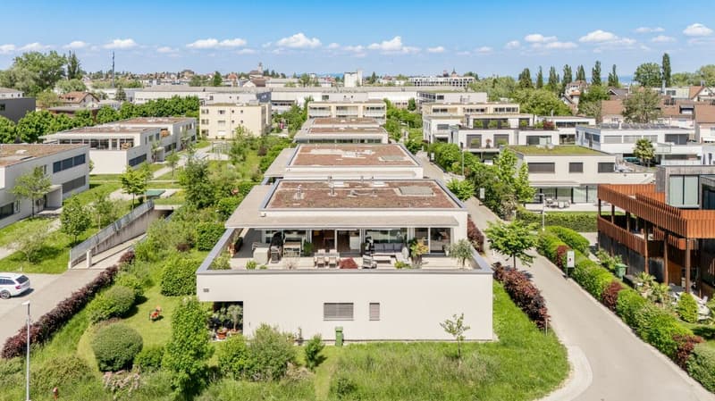 Stilvolle 4.5-Zimmer-Attikawohnung mit Sicht auf den Säntis und viel Privatsphäre (4)