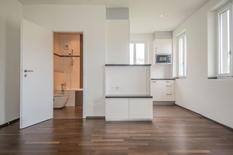 Renovierte Wohnung mit Aussicht (2)