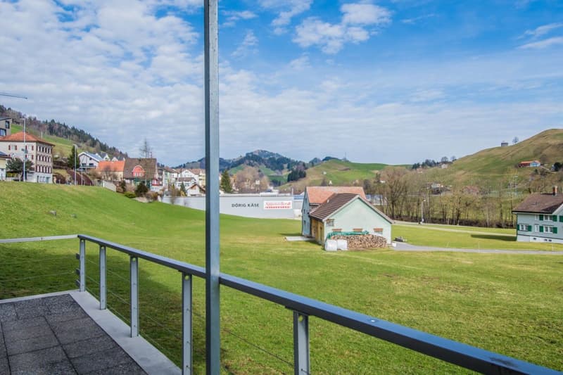 Renovierte Wohnung mit Aussicht (1)