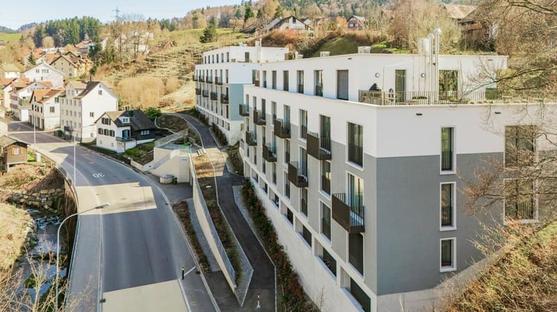 Zwischen Stadt und Natur - Stilvolles 5.5-Zimmer-Townhouse mit Dachterrasse (2)
