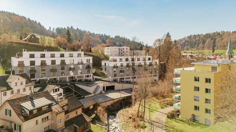 Zwischen Stadt und Natur - Stilvolles 5.5-Zimmer-Townhouse mit Dachterrasse (3)