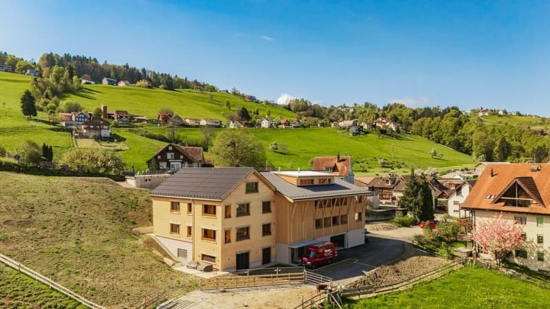 DER Logenplatz über dem Bodensee - 5.5-Zimmer-Maisonette in Vollholzbauweise mit traumhafter Seesicht (4)