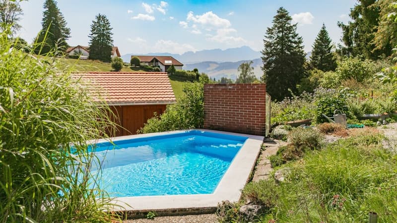 Freistehendes 8-Zimmer-Einfamilienhaus mit unverbaubarer Alpsteinsicht (5)