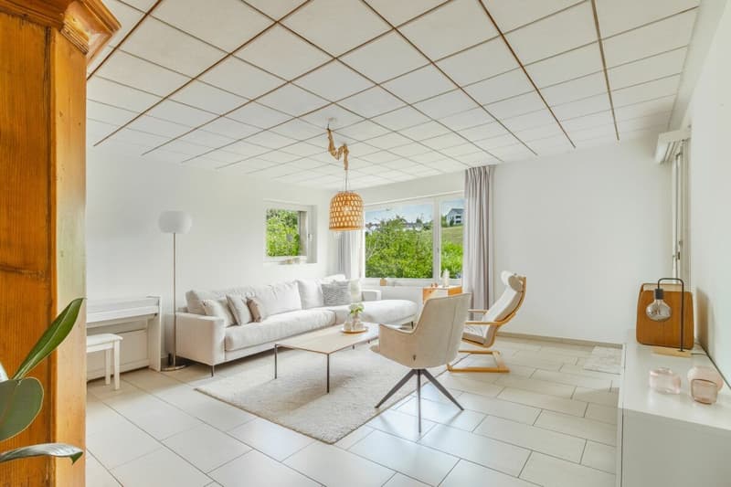 Freistehendes 8-Zimmer-Einfamilienhaus mit unverbaubarer Alpsteinsicht (11)