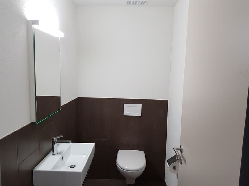 modern 3.5-room apartment in Bächlipark Wollerau (6)