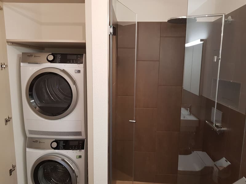 modern 3.5-room apartment in Bächlipark Wollerau (5)