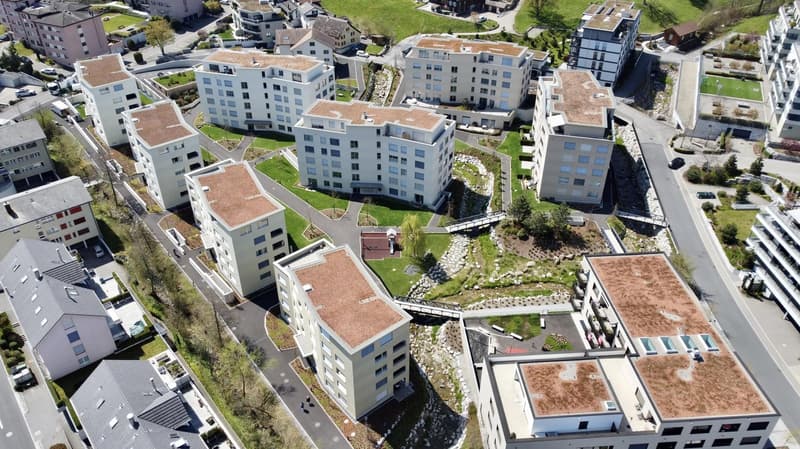 modern 3.5-room apartment in Bächlipark Wollerau (7)