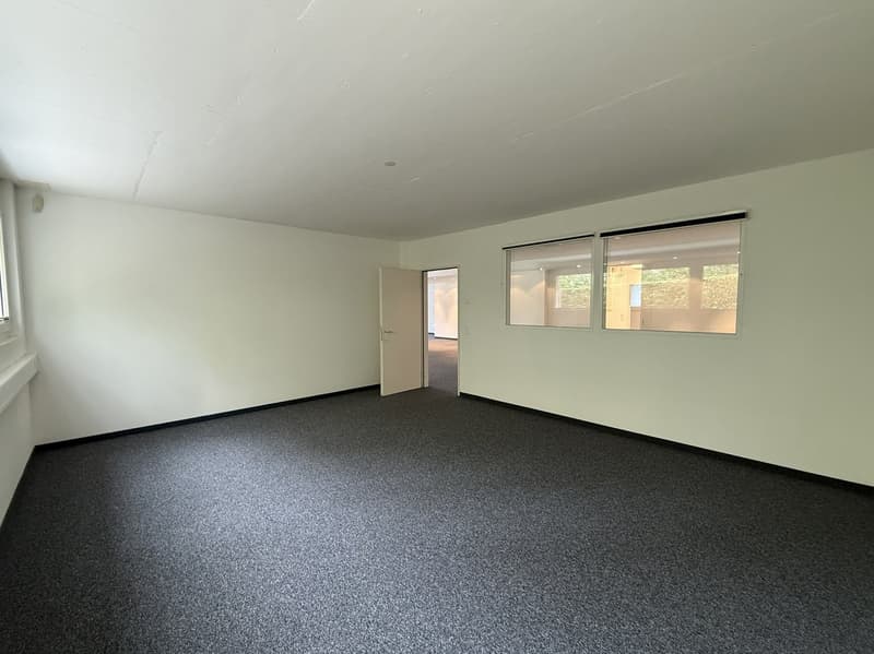 Attraktive Büro-/Gewerbefläche ca. 200 m² in Wollerau (5)