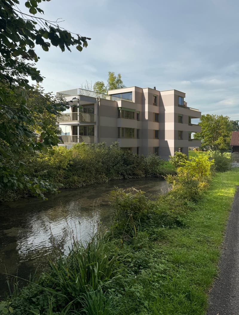 Exklusiver Neubau in Reichenburg – hochwertiges Wohnen an idyllischer Lage (6)
