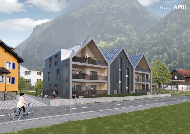 4.5 Zimmerwohnung mit Panoramaausblick auf See & Berge in Seedorf (UR) (1)