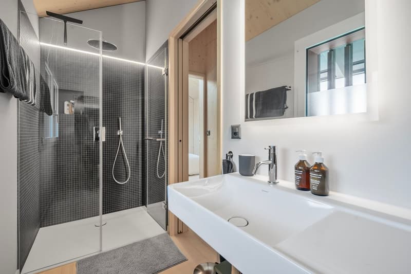 Chalet alpino arredato nella natura - AREA DI ZUG PIÙ GRANDE (11)