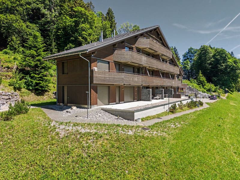 Appartement moderne 2.5 pièces avec vue panoramique à Illgau (St. Karl) (3)