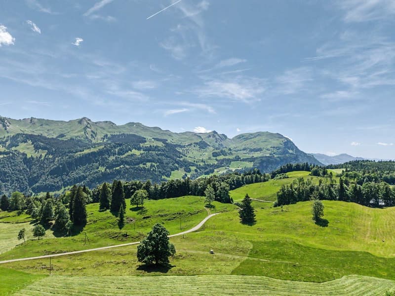 Appartement moderne 2.5 pièces avec vue panoramique à Illgau (St. Karl) (4)
