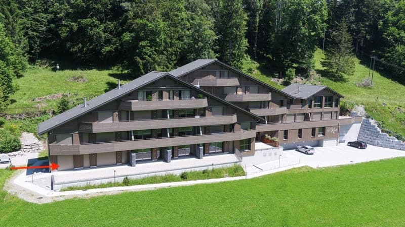 Modern 2.5-room apartment with panoramic view in Illgau (St. Karl) (2)