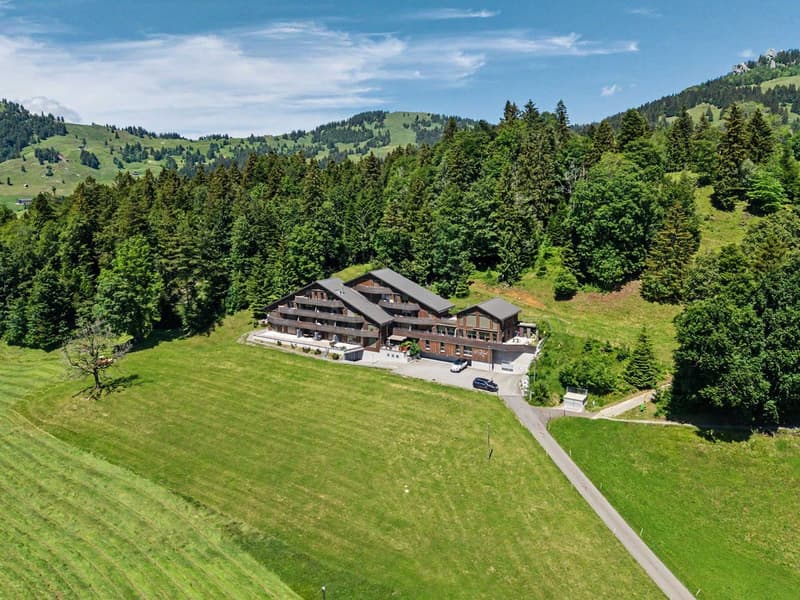 Appartement moderne 2.5 pièces avec vue panoramique à Illgau (St. Karl) (2)