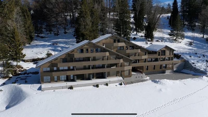 Modern 2.5-room apartment with panoramic view in Illgau (St. Karl) (1)