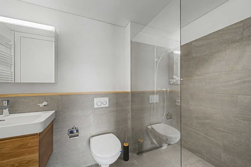 Appartement moderne 2.5 pièces avec vue panoramique à Illgau (St. Karl) (12)
