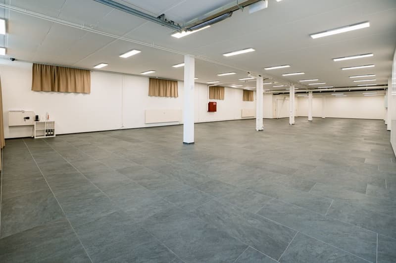Showroom in prime location in the canton of Zug (7)