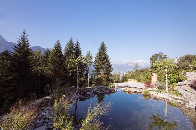 Your completely private nature paradise as a first or second home (3)