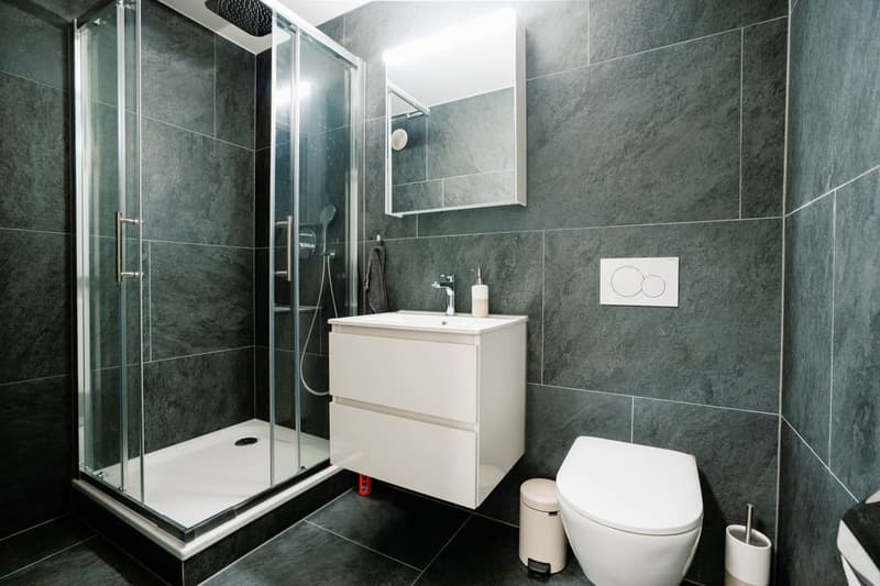 Showroom in prime location in the canton of Zug (4)