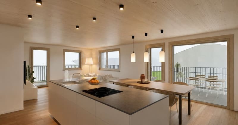 3.5 room ground floor apartment near the lake (2)