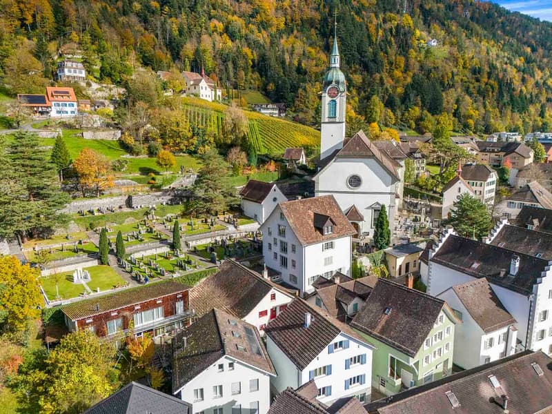 Renditeliegenschaft mit Entwicklungsmöglichkeiten im Herzen von Altdorf (1)