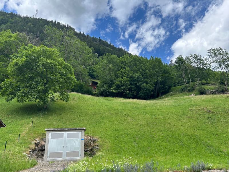 Bauland mit toller Bergsicht (2)