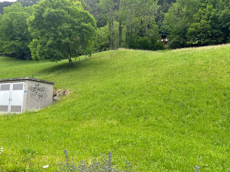 Bauland mit toller Bergsicht (9)
