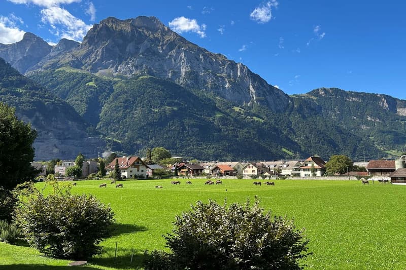 6.5 Zimmerwohnung an toller Lage - für Familien die viel Platz schätzen (2)