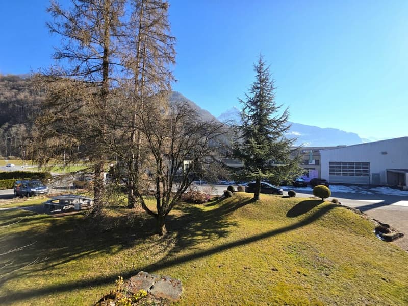 Südaussicht auf Fronalpstock