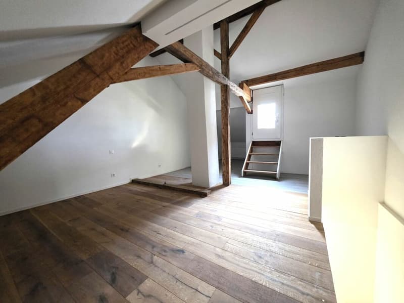 Casa a schiera di 4 camere con dependance (4)