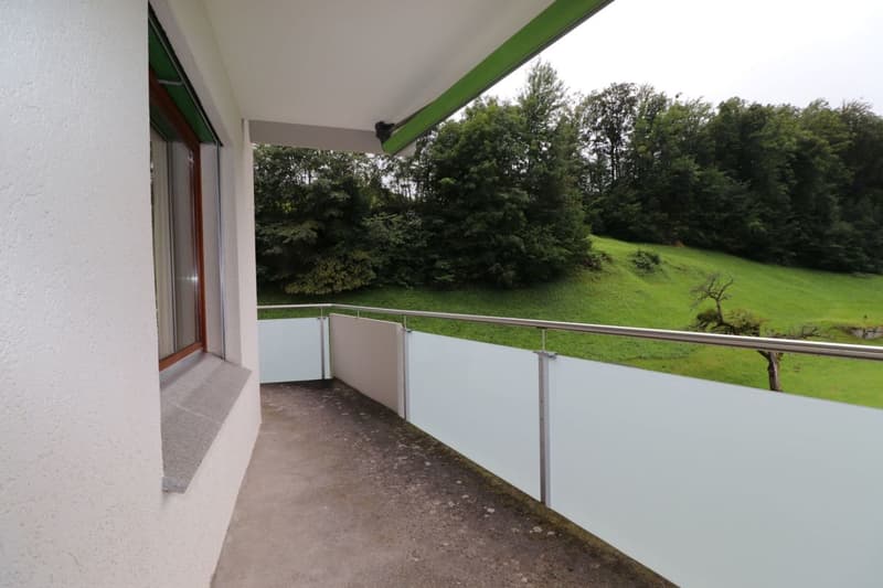 Appartamento di 3 locali e mezzo con balcone (13)