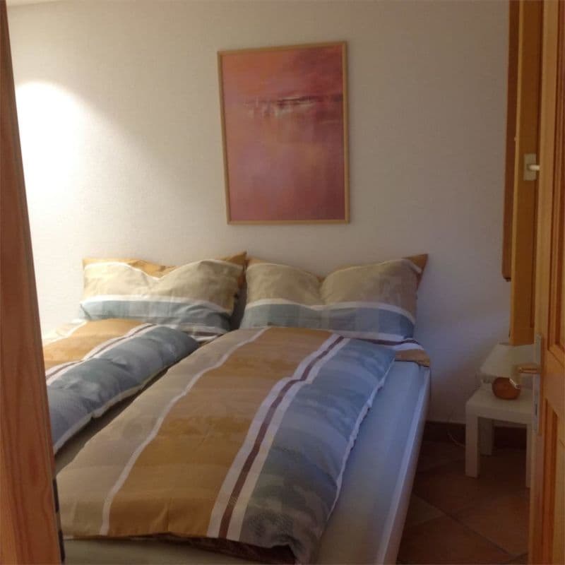3 1/2 locali rustico rinnovato (9)