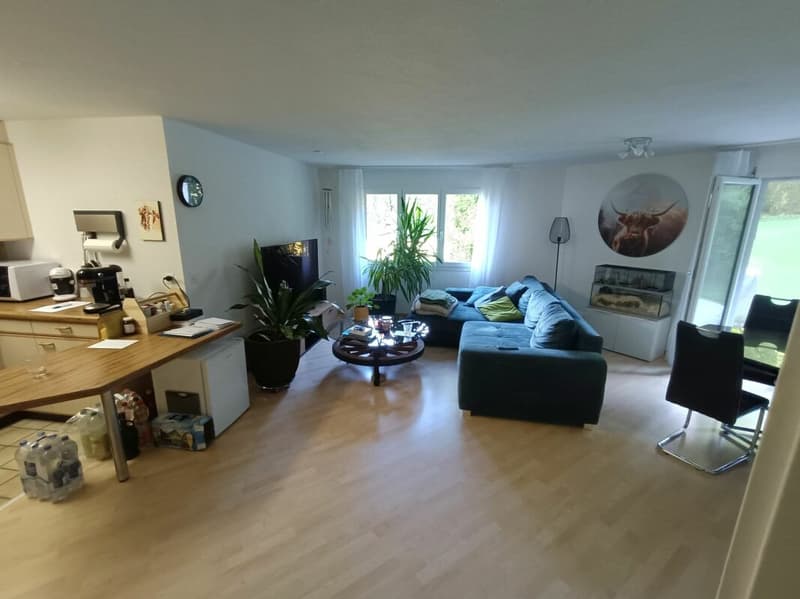 2.5 Zimmer-Parterre-Wohnung (3)