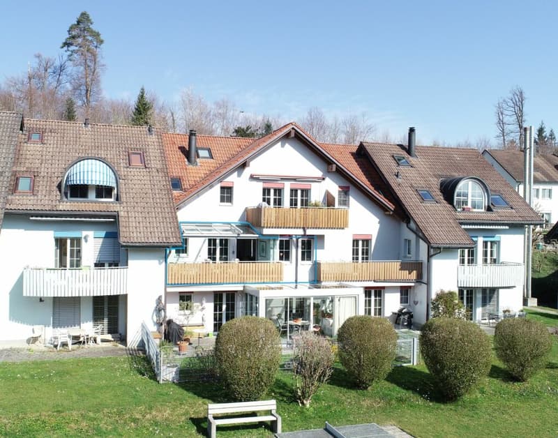 Wunderschöne 4 1/2 Zimmer-Wohnung (1)