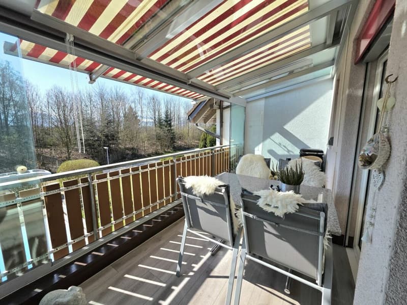 Wunderschöne 4 1/2 Zimmer-Wohnung (9)