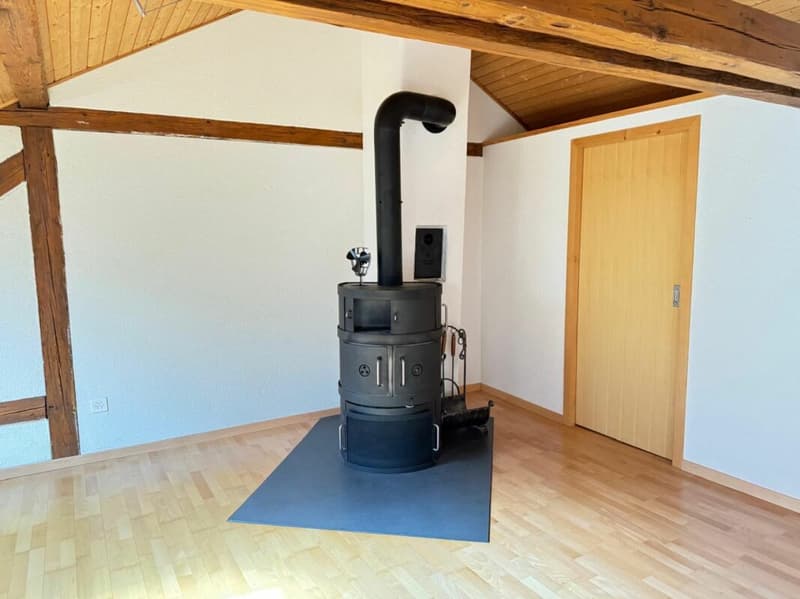 7.5 Zimmer Reihenhaus mit besonderem Flair (9)