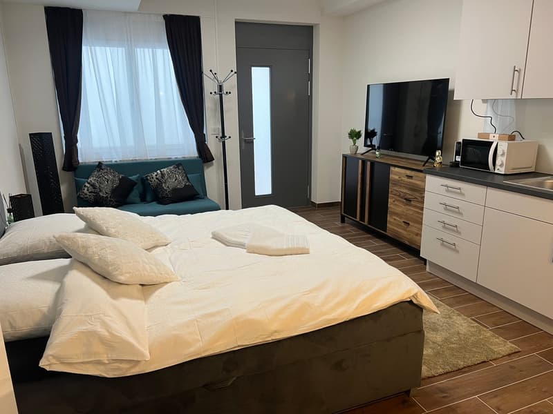 Möbliertes Apartment mit Pool und Fitness (3)