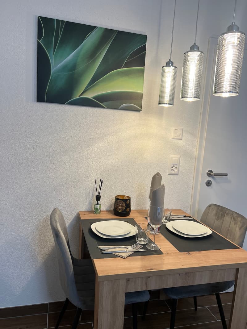Möbliertes Apartment mit Pool und Fitness (6)