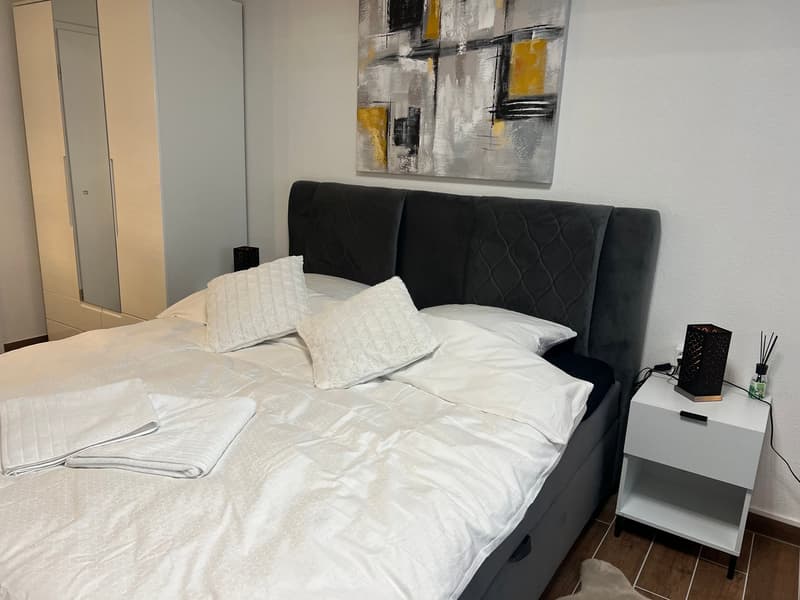 Möbliertes Apartment mit Pool und Fitness (8)