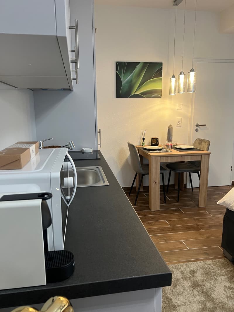 Möbliertes Apartment mit Pool und Fitness (9)